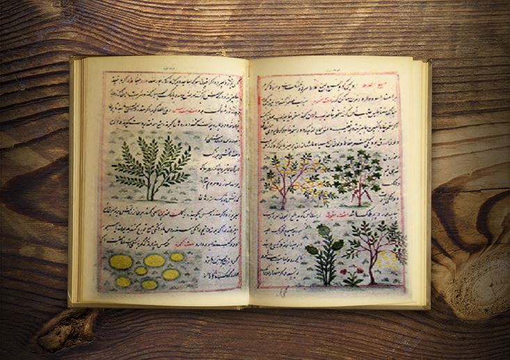 Farah Namah (Farah’ın Doğa Ansiklopedisi)